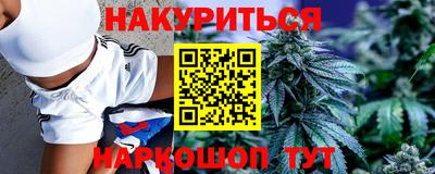 шишки Кимры
