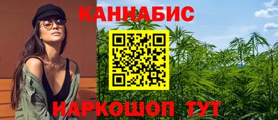 шишки Кимры