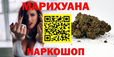 твердый Кингисепп