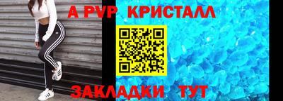 шишки Кимры