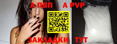 твердый Кингисепп